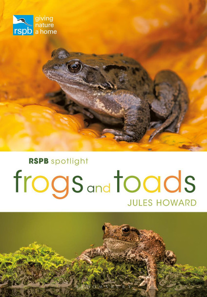 RSPB Spotlight Frogs and Toads by Jules Howard