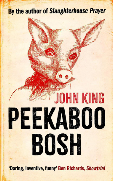 Peekaboo Bosh John King 9781739698331