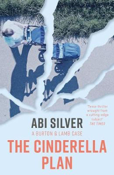 The Cinderella Plan: A legal thriller with a topical AI twist by Abi Silver