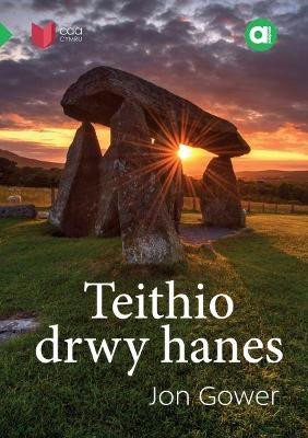 Cyfres Amdani: Teithio drwy Hanes by Jon Gower