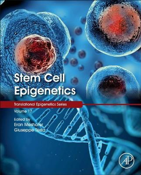 Stem Cell Epigenetics: Volume 17 by Eran Meshorer