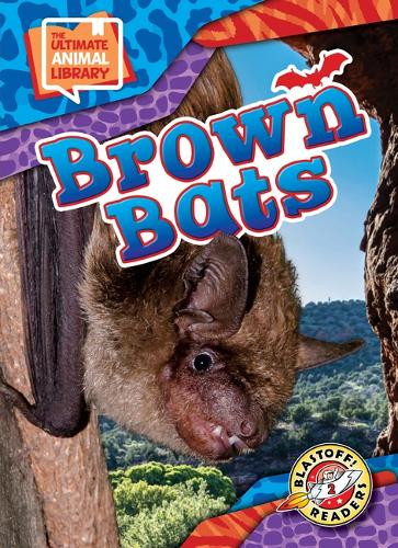 Brown Bats by Janie Scheffer 9798893044645