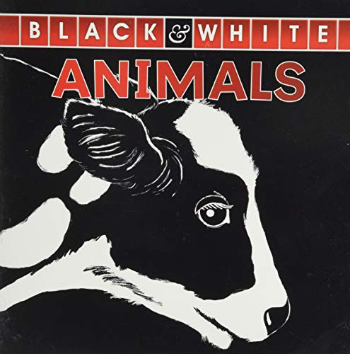 Black and White Animals by Molly Fields 9781731628336