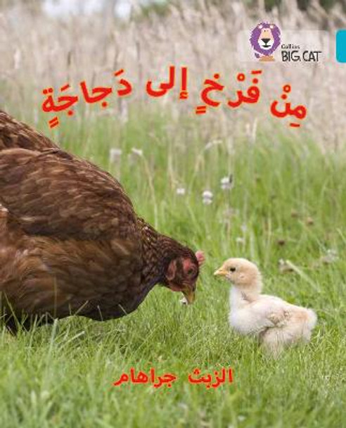 Chick to Hen: Level 7 (Collins Big Cat Arabic Reading Programme) by Elspeth Graham