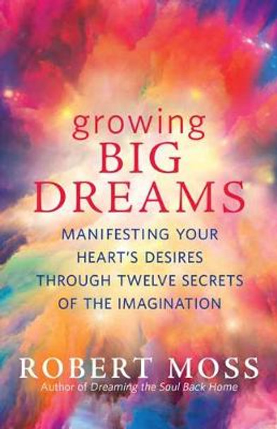 Growing Big Dreams: Manifesting Your Heart's Desires Through Twelve Secrets of the Imagination by Robert Moss