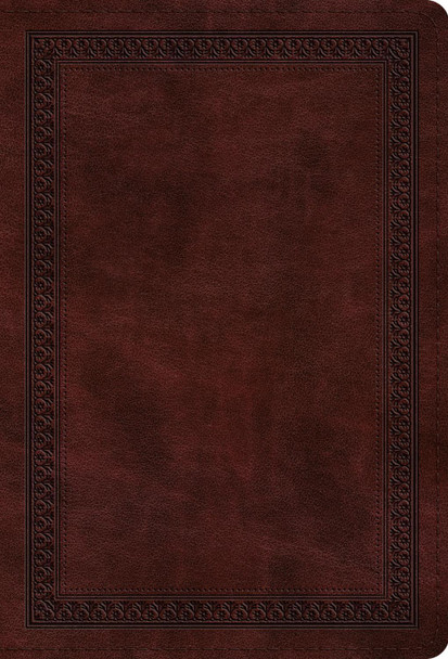 ESV Large Print Compact Bible, Red Letter 9798874902995