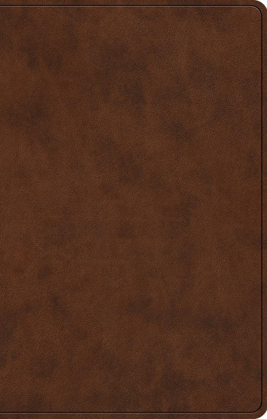 ESV Premium Gift Bible 9798874903114