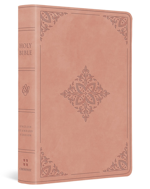 ESV Value Large Print Compact Bible 9798874903077