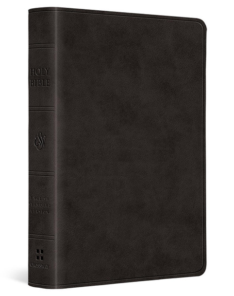 ESV Value Large Print Compact Bible, Red Letter 9798874903107
