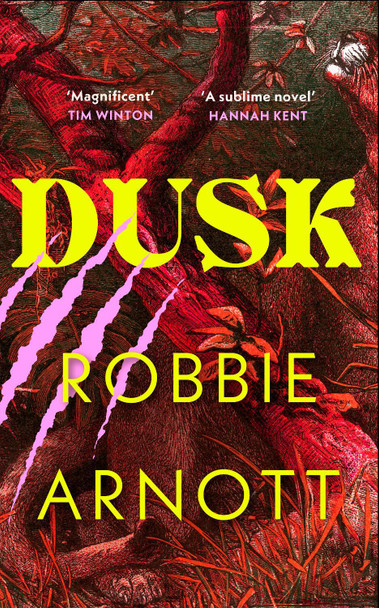 Dusk by Robbie Arnott 9781784745981