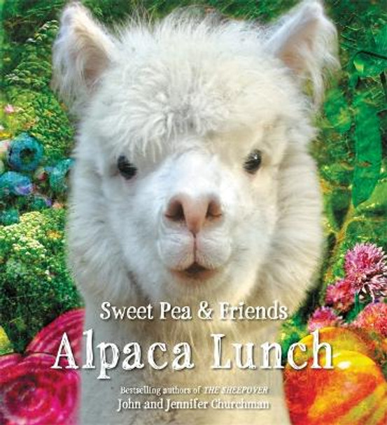 Alpaca Lunch by John Churchman