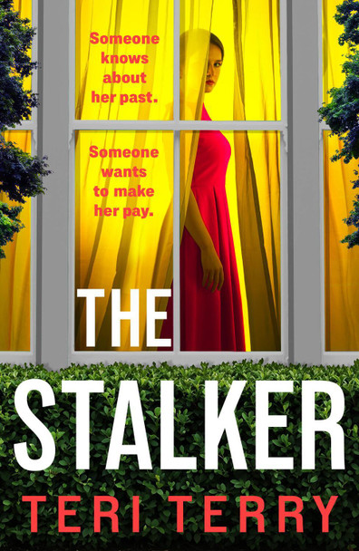 The Stalker Teri Terry 9781806008339