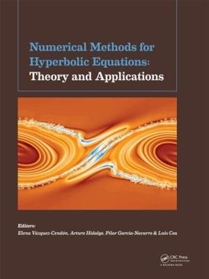 Numerical Methods for Hyperbolic Equations by M. Elena Vazquez-Cendon