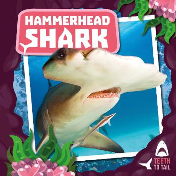 Hammerhead Shark: Teeth to Tail by Robin Twiddy