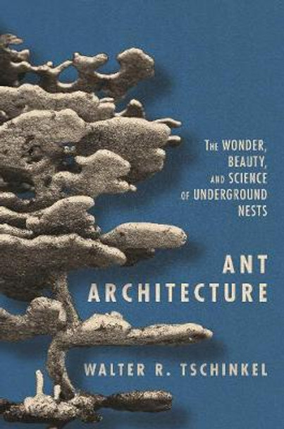 Ant Architecture: The Wonder, Beauty, and Science of Underground Nests by Walter R. Tschinkel