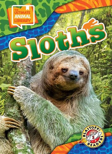 Sloths by Janie Scheffer 9798893044744