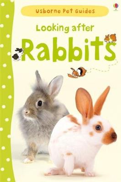 Looking After Rabbits by Fiona Patchett