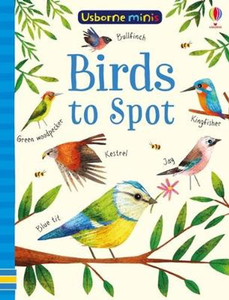 Birds to Spot by Sam Smith