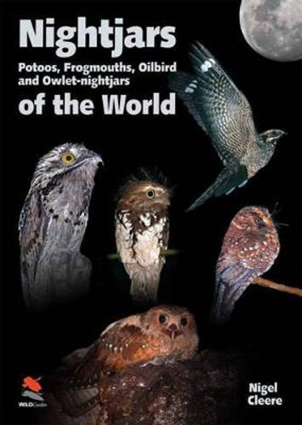 Nightjars, Potoos, Frogmouths, Oilbird, and Owlet-nightjars of the World by Nigel Cleere