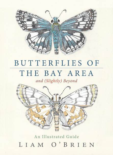 Butterflies of the Bay Area and (Slightly) Beyond: An Illustrated Guide 9781597146852