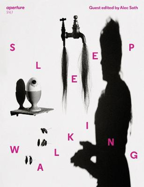 Sleepwalking: Aperture 247 by Alec Soth