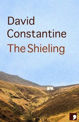 The Shieling by David Constantine 9781905583218