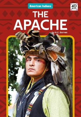 Apache by N C Barnes 9781098246198