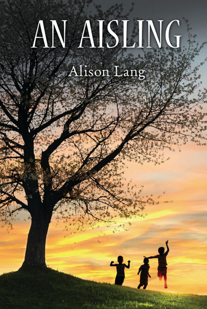 An Aisling Alison Lang 9781789072105