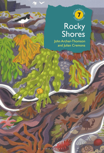 Rocky Shores John Archer-Thomson 9781399432757