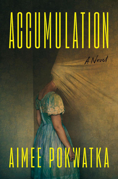 Accumulation Aimee Pokwatka 9798217047628