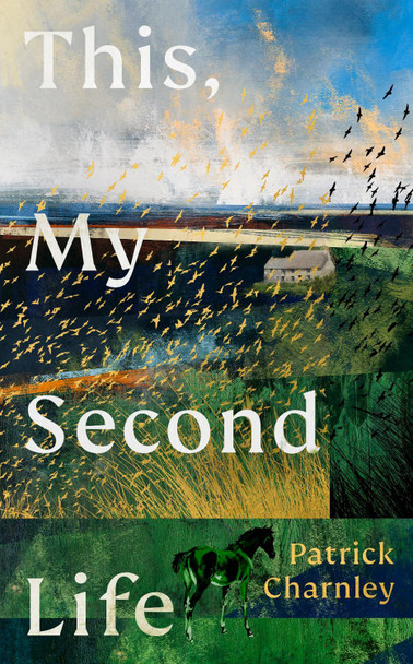 This, My Second Life by Patrick Charnley 9781529155259