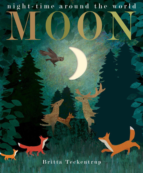 Moon by Patricia Hegarty 9781848698673