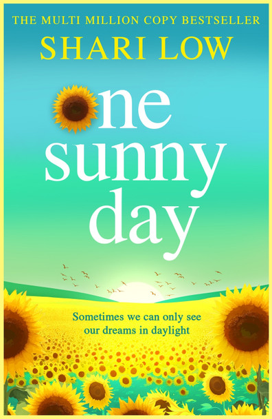 One Sunny Day Shari Low 9781806005352
