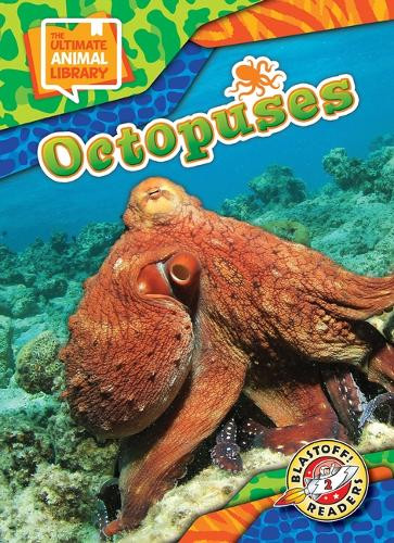 Octopuses by Chris Bowman 9798893047967