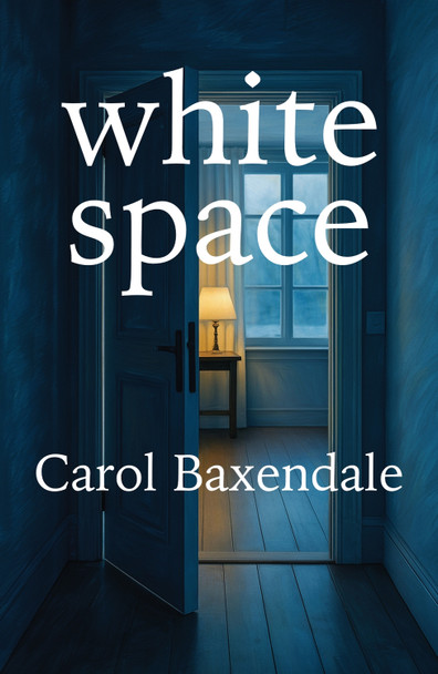 White Space Carol Baxendale 9781788648547