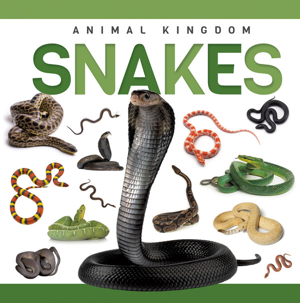 Snakes by Rebecca Phillips-Bartlett 9781952455896