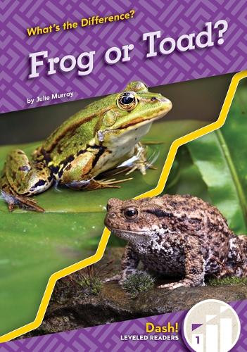 Frog or Toad? by Julie Murray 9781098287313
