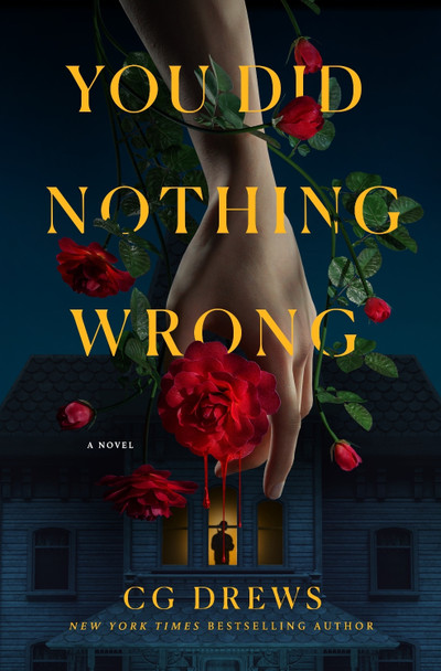 You Did Nothing Wrong: A Novel by CG Drews 9781250369994