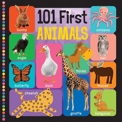101 First Animals by Flowerpot Press 9781486730131