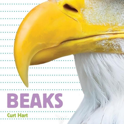 Whose Is It? Beaks by Curt Hart 9781486721184