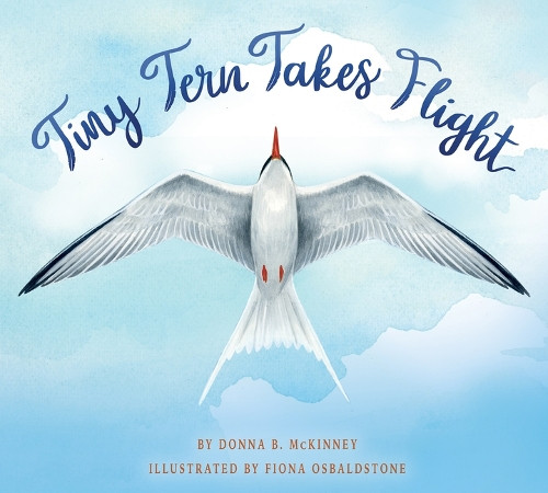 Tiny Tern Takes Flight by Donna B McKinney 9781958629833