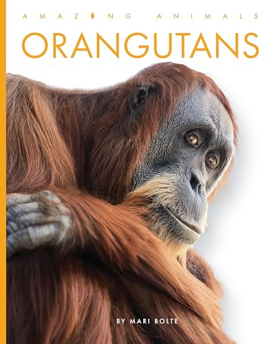 Orangutans by Mari Bolte 9798895810576