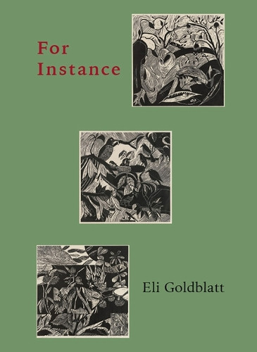 For Instance by Eli Goldblatt 9781946104168