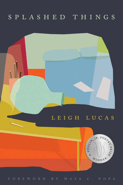 Splashed Things by Leigh Lucas 9781968507039