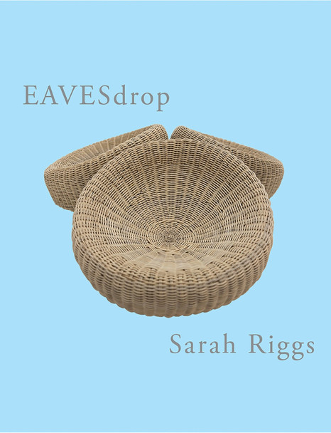 Eavesdrop by Sarah Riggs 9781946104236