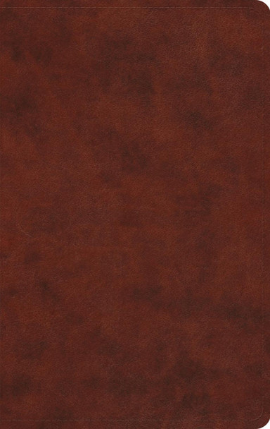 ESV Large Print Value Thinline Bible 9798874907808