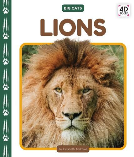 Lions by Elizabeth Andrews 9781098246921