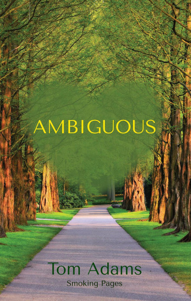 Ambiguous by Tom Adams 9781917061124