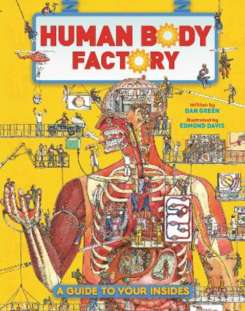 The Human Body Factory: A Guide To Your Insides by Dan Green The Human Body Factory: A Guide To Your Insides by Dan Green