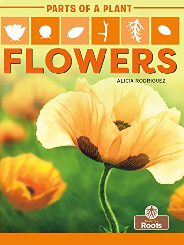 Flowers by Alicia Rodriguez 9781427140647